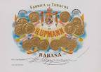 Cuban Cigar Website - Search Brands
