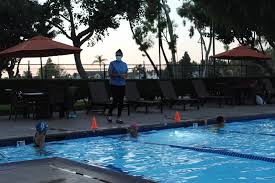 Image result for Loftus Dolphins Swimming Club