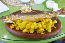 Image result for Coregonus albula