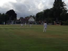 Image result for Sawbridgeworth Cricket Club