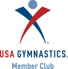 Image result for Aerodyne Gymnastics Club