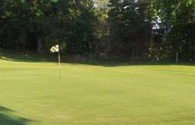 Image result for Bridge Of Allan Sports Club