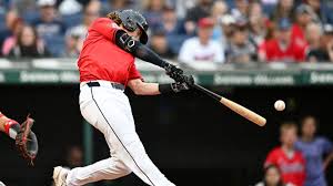 Image result for Schneemann