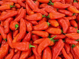 Afbeeldingsresultaat voor chili maya hot pepper hot pepper