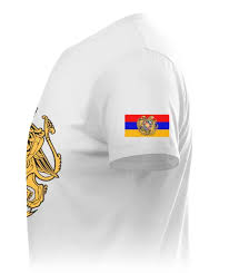 Image result for Футболка с флагом армении
