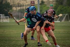 Image result for Ballerin Gaelic Athletic Club