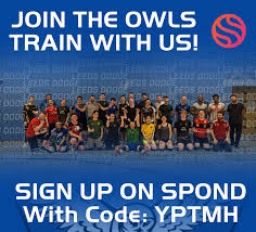 Image result for Leeds Dodge