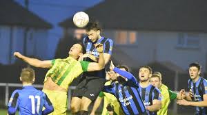 Image result for Ockley Acorns Junior F C