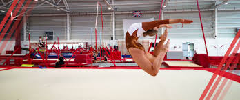 Image result for City Of Newcastle Gymnastics Academy