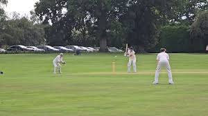 Image result for Buxted Park Cricket Club