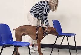 Image result for Sheerness abc