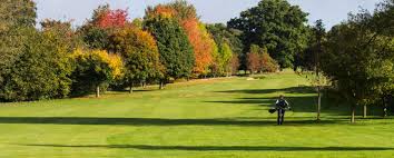 Image result for Verulam Golf Club Ltd