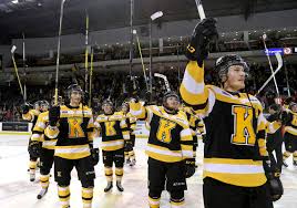 Image result for Demons Skater Hockey Club