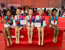 Image result for Forest Of Dean Gymnastics Club