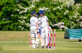 Image result for Lingfield Cricket Club