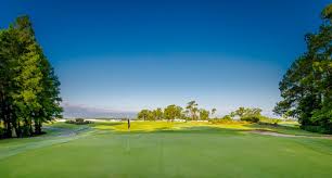 Image result for hallcross jfc