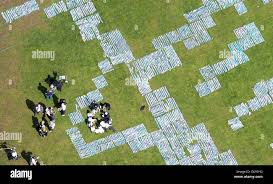 Image result for Winton Cricket Club