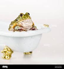 Image result for Bath Amphibians