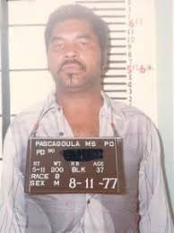 Attēlu rezultāti vaicājumam “Lycogala asperum young”