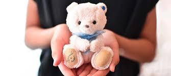 Image result for テディ