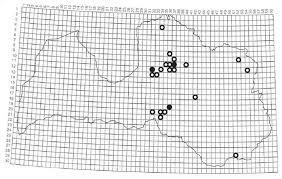 Attēlu rezultāti vaicājumam “Schistostega pennata”