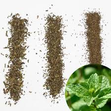 Attēlu rezultāti vaicājumam “Mentha spicata leaf”