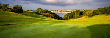 Image result for Ashton Hayes Cricket Club