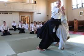Image result for Bristol Temple Gate Dojo