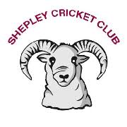 Image result for Holmfirth Cc