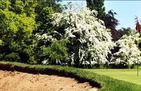 Image result for St Neots Golf Club