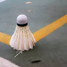 Image result for Phoenix (Aylesbury) Badminton Club