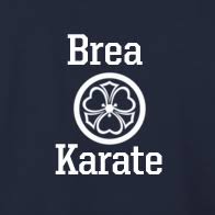 Image result for Carn Brea Karate Kai