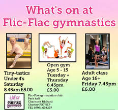 Image result for Flic Flac Gym Club, Eccleston