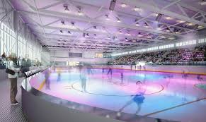 Image result for Romford Swimming Club