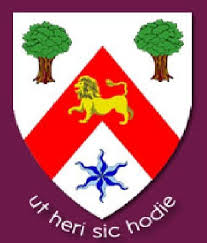 Image result for Trafford Metrovicks Cricket Club