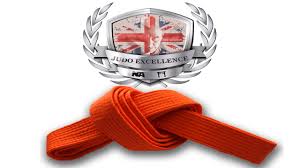 Image result for Judo Excellence