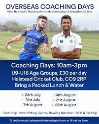 Image result for Halstead Cricket Club