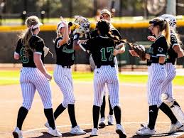 Image result for Dragons Softball Club
