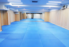 Image result for Imperial Dojo