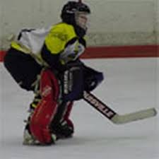 Image result for Cardiff Comets Ladies Ice Hockey