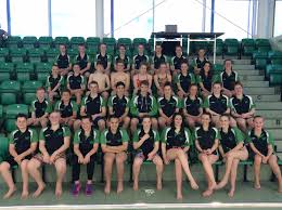 Image result for Worcester Swimming Club