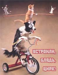 images?q=tbn:ANd9GcS2DsXgqNiYK28ARnjLmLJix_OXZqahLhsq60TDRMP3kvS1btpt