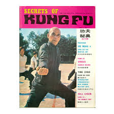 Image result for Hull Kung Fu