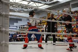 Image result for Fighting Arts Organisation of Great Britain