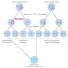 anomalias <b>geneticas</b>