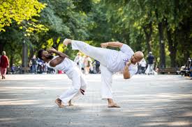 Image result for Capoeira Classes