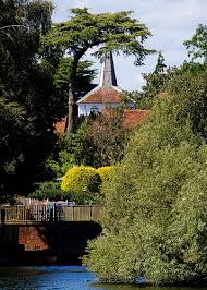 Image result for Long Ditton Cc