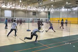 Image result for Active Lives Badminton Club