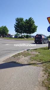 Image result for Muhammad als Rondellhund