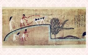 Image result for papirum